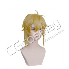 画像1: 厨病激発ボーイ　高嶋智樹　コスプレウィッグ　コスプレ衣装 (1)