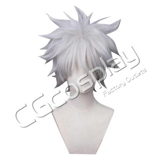 イルミ・ゾルディック　ウィッグ 衣装 コスプレ コスプレウィッグ HUNTER×HUNTER イルミ=ゾルディック