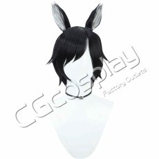 画像1: ダンジョン飯　イヅツミ　コスプレウィッグ　コスプレ衣装 (1)