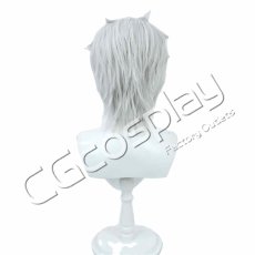 画像2: 無職転生 〜異世界行ったら本気だす〜　オルステッド　コスプレウィッグ　コスプレ衣装 (2)
