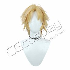 画像1: ファイナルファンタジーX　FFX　ティーダ（Tidus）　コスプレウィッグ　コスプレ衣装 (1)