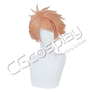 桜蘭高校ホスト部 藤岡ハルヒ コスプレウィッグ コスプレ衣装