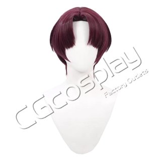 WIND BREAKER 兎耳山丁子 コスプレウィッグ コスプレ衣装