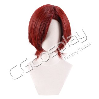 ペルソナ3 結城理 コスプレウィッグ コスプレ衣装