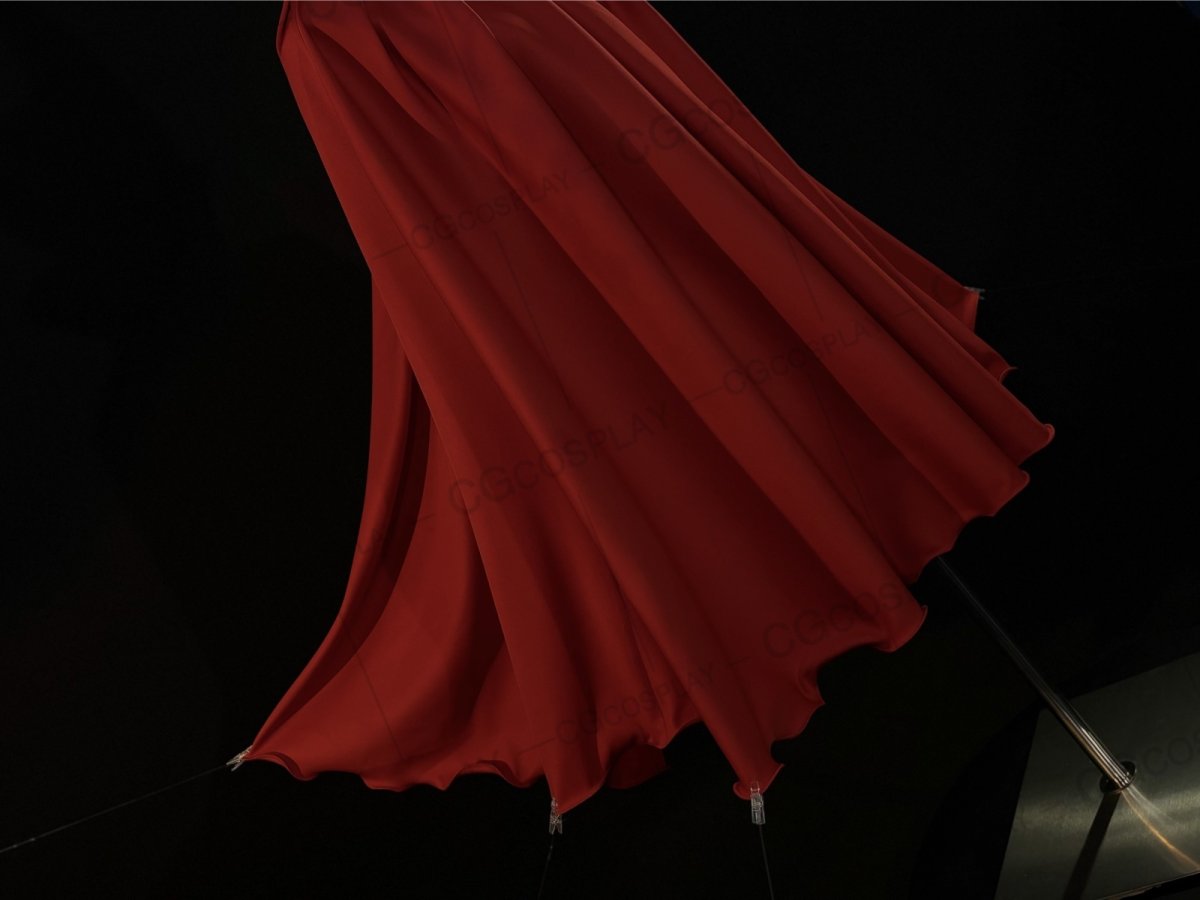 画像3: Hollow Knight: Silksong　ホロウナイト: シルクソング　コスプレ衣装（サンプル衣装制作完了） (3)