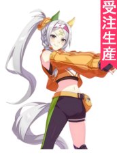 画像1: 受注生産　ウマ娘プリティーダービー　ソノンエルフィー　コスプレ衣装 (1)