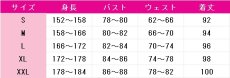 画像6: コードギアス 反逆のルルーシュ　C.C.　2期DVDBOX　コスプレ衣装 (6)