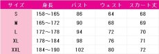 画像6: 春夏秋冬代行者　姫鷹さくら　コスプレ衣装 (6)