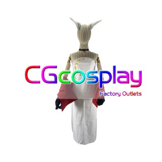 豚のレバーは加熱しろ ジェス コスプレ衣装
