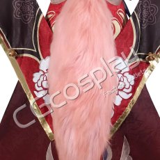 画像3: 崩壊：スターレイル　停雲　帰忘の流離人　コスプレ衣装 (3)
