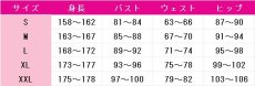 画像6: プロジェクトセカイ カラフルステージ！ feat. 初音ミク　初音ミク　セカイシンフォニー 2023　コスプレ衣装 (6)