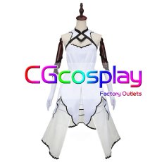画像1: Fate/Grand Order　FGO　アルクェイド・ブリュンスタッド　Dresscode：氷河をまとう　コスプレ衣装 (1)