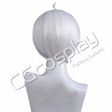 画像3: Sky 星を紡ぐ子どもたち　シルバー　Bバージョン　コスプレウィッグ　コスプレ衣装 (3)