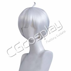 画像2: Sky 星を紡ぐ子どもたち　シルバー　Bバージョン　コスプレウィッグ　コスプレ衣装 (2)