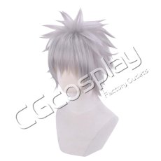 画像2: 新世紀エヴァンゲリオン　渚カヲル　コスプレウィッグ　コスプレ衣装 (2)