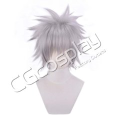 画像1: 新世紀エヴァンゲリオン　渚カヲル　コスプレウィッグ　コスプレ衣装 (1)