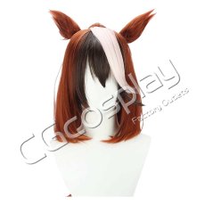画像1: ウマ娘プリティーダービー　シンボリルドルフ　新衣装　コスプレウィッグ　コスプレ衣装 (1)