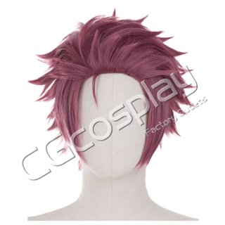 ブルーロック 御影玲王 コスプレウィッグ コスプレ衣装