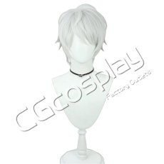 画像1: 崩壊3rd　ケビン・カスラナ　コスプレウィッグ　コスプレ衣装 (1)