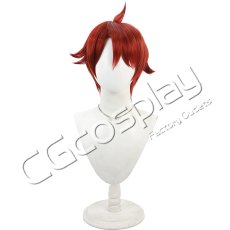 画像2: わんだふるぷりきゅあ!　兎山悟　コスプレウィッグ　コスプレ衣装 (2)