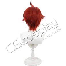 画像3: わんだふるぷりきゅあ!　兎山悟　コスプレウィッグ　コスプレ衣装 (3)