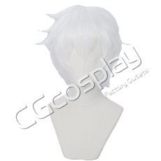画像1: 刀剣乱舞　鳴狐　コスプレウィッグ　コスプレ衣装 (1)