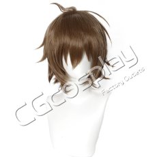 画像1: アカメが斬る!　タツミ　コスプレウィッグ　コスプレ衣装 (1)