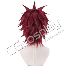 画像3: Paradox Live（パラライ）　朱雀野アレン　コスプレウィッグ　コスプレ衣装 (3)