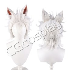 画像1: ジャック・ハウル(Jack Howl)　コスプレウィッグ　コスプレ衣装 (1)