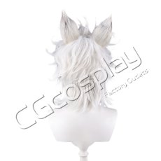 画像3: ジャック・ハウル(Jack Howl)　コスプレウィッグ　コスプレ衣装 (3)