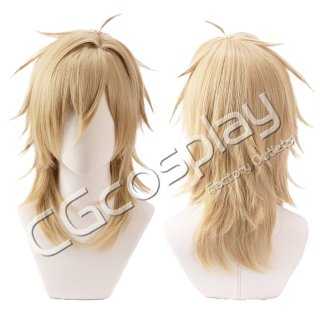 あんさんぶるスターズ! 花群冬芽 コスプレウィッグ コスプレ衣装