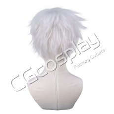 画像3: 約束のネバーランド　ノーマン　コスプレウィッグ　コスプレ衣装 (3)