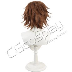 画像3: 鉄拳8　風間飛鳥　コスプレウィッグ　コスプレ衣装 (3)