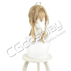画像1: サイレント・ウィッチ 沈黙の魔女の隠しごと　モニカ・エヴァレット　コスプレウィッグ　コスプレ衣装 (1)