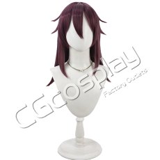 画像1: アクション対魔忍　水城不知火　コスプレウィッグ　コスプレ衣装 (1)
