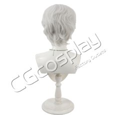 画像2: Fate/Grand Order　FGO　ジャック・ド・モレー（セイバー）　コスプレウィッグ　コスプレ衣装 (2)