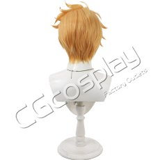 画像4: グランブルーファンタジー　グラン　コスプレウィッグ　コスプレ衣装 (4)