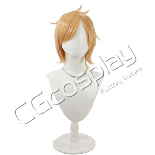 泛塵コスプレウィッグ 刀剣乱舞 刀剣男士 泛塵 はんじん ウィッグ コスプレ衣装 - メルカリ