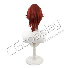 画像4: 忍たま乱太郎　平滝夜叉丸　コスプレウィッグ　コスプレ衣装 (4)