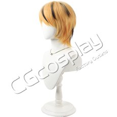 画像3: 東方Project　寅丸星　コスプレウィッグ　コスプレ衣装 (3)