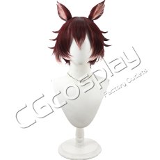 画像1: ギデル　コスプレウィッグ　コスプレ衣装 (1)