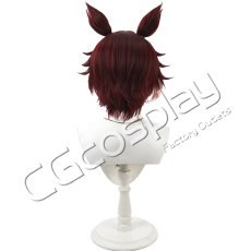 画像3: ギデル　コスプレウィッグ　コスプレ衣装 (3)