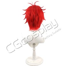 画像2: Re:ゼロから始める異世界生活　ラインハルト・ヴァン・アストレア　コスプレウィッグ　コスプレ衣装 (2)