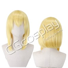 画像1: 機動戦士ガンダムSEED DESTINY　ステラ・ルーシェ　コスプレウィッグ　コスプレ衣装 (1)