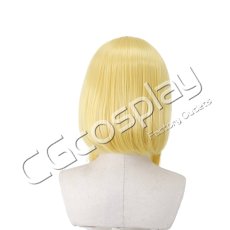 画像3: 機動戦士ガンダムSEED DESTINY　ステラ・ルーシェ　コスプレウィッグ　コスプレ衣装 (3)