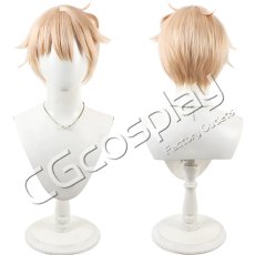 画像1: 合コンに行ったら女がいなかった話　浅葱　コスプレウィッグ　コスプレ衣装 (1)