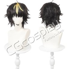 画像1: カードファイト!! ヴァンガード　清蔵タイゾウ　コスプレウィッグ　コスプレ衣装 (1)