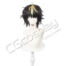 画像2: カードファイト!! ヴァンガード　清蔵タイゾウ　コスプレウィッグ　コスプレ衣装 (2)