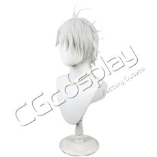 画像4: 刀剣乱舞　鬼丸国綱　コスプレウィッグ　コスプレ衣装 (4)