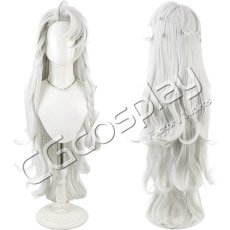 画像1: Fate/Grand Order　FGO　ソロモン　コスプレウィッグ　コスプレ衣装 (1)